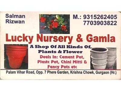 LUCKY NURSERY & GAMLA | PALAM VIHAR | GURGAON