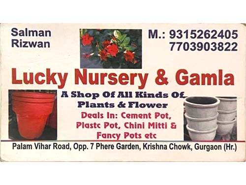 LUCKY NURSERY & GAMLA | PALAM VIHAR | GURGAON